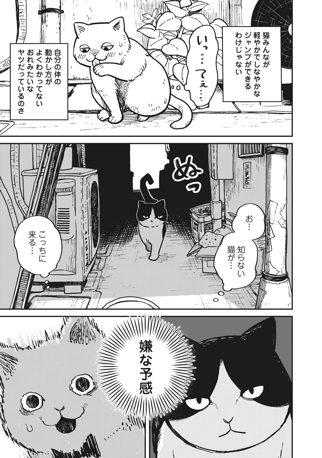 ツレ猫 マルルとハチ その1 無料公開中！｜美容雑誌『VOCE』公式サイト