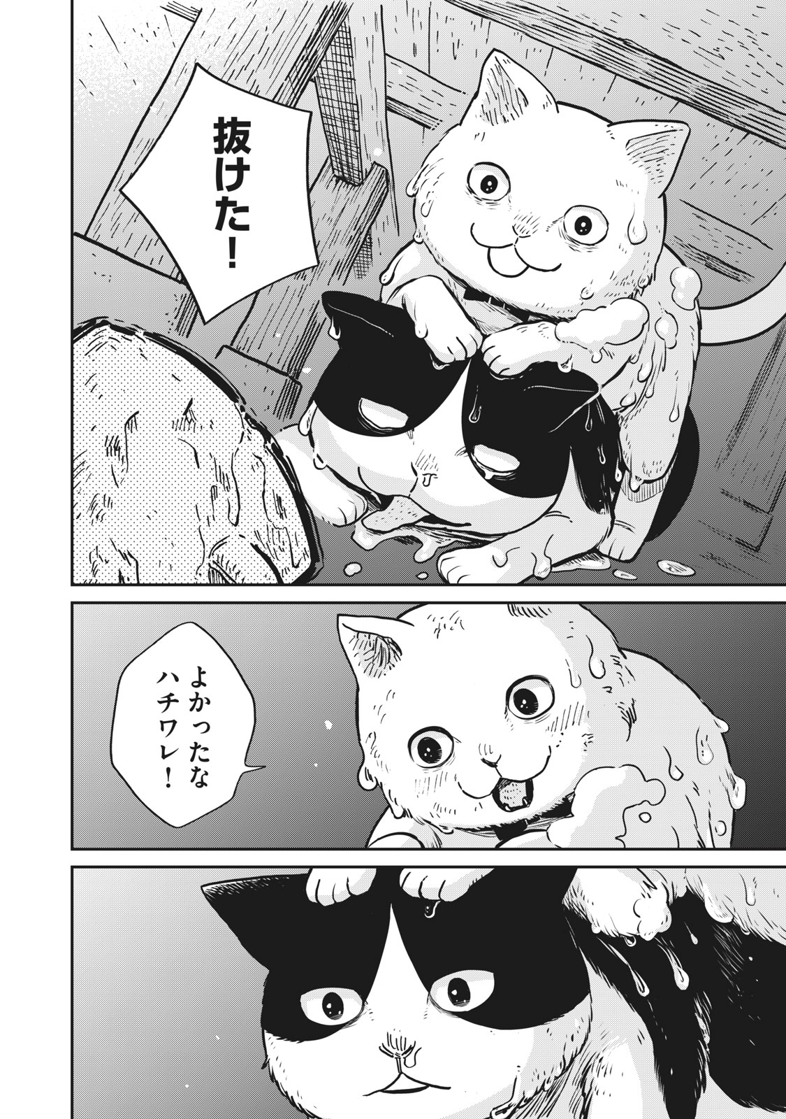 ツレ猫 マルルとハチ その1 無料公開中！｜美容雑誌『VOCE』公式サイト